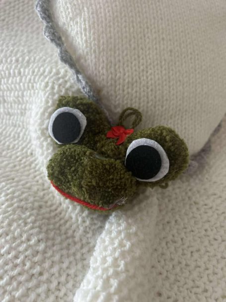 Frosch aus Pompons